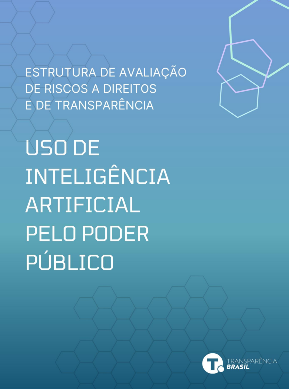 Estrutura de avaliação de riscos no uso de IA pelo poder público