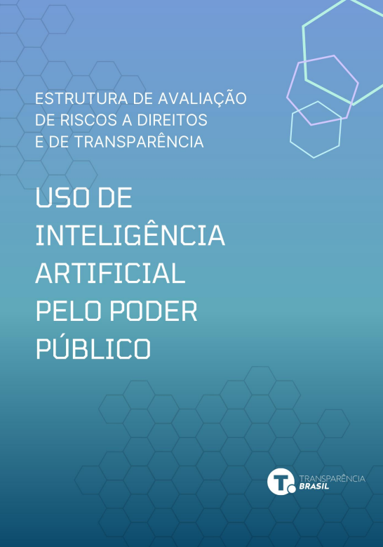 Risk assessment framework for the use of AI by public authorities